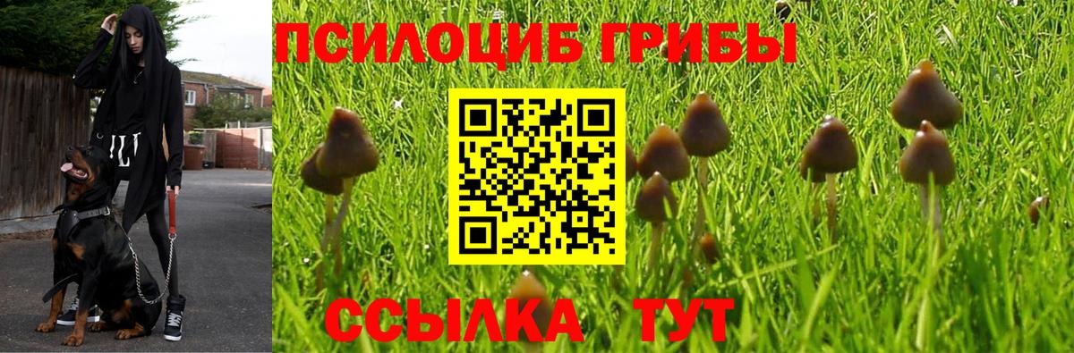 Псилоцибиновые грибы ЛСД Мурманск