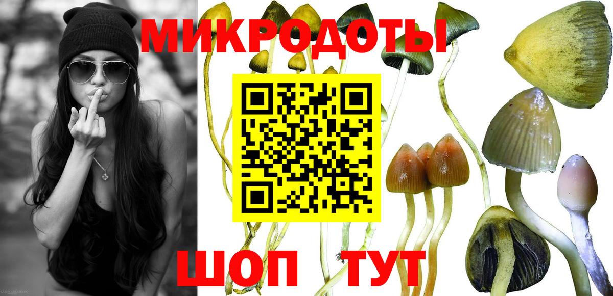 Мурманск  Галлюциногенные грибы Psilocybe  Вход с VPN  Галлюциногенные грибы Psilocybe 